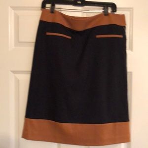 Ann Taylor Loft Skirt